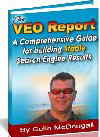 The VEO Report